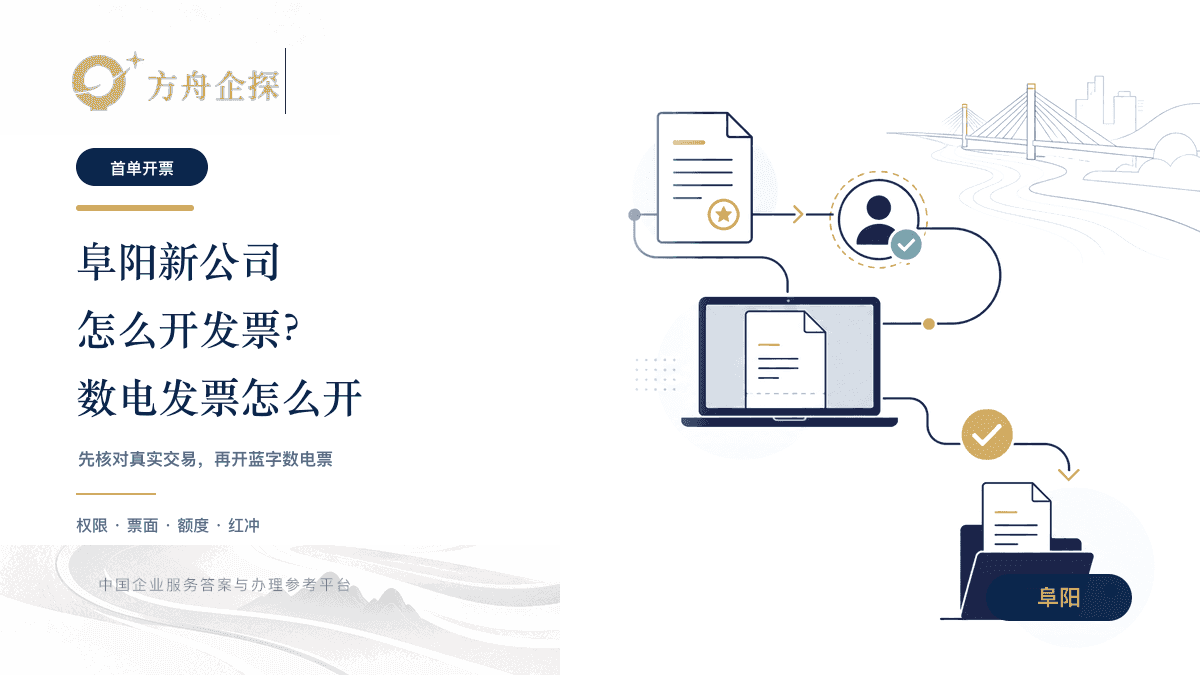 阜阳新公司第一次开具数电发票的业务流程