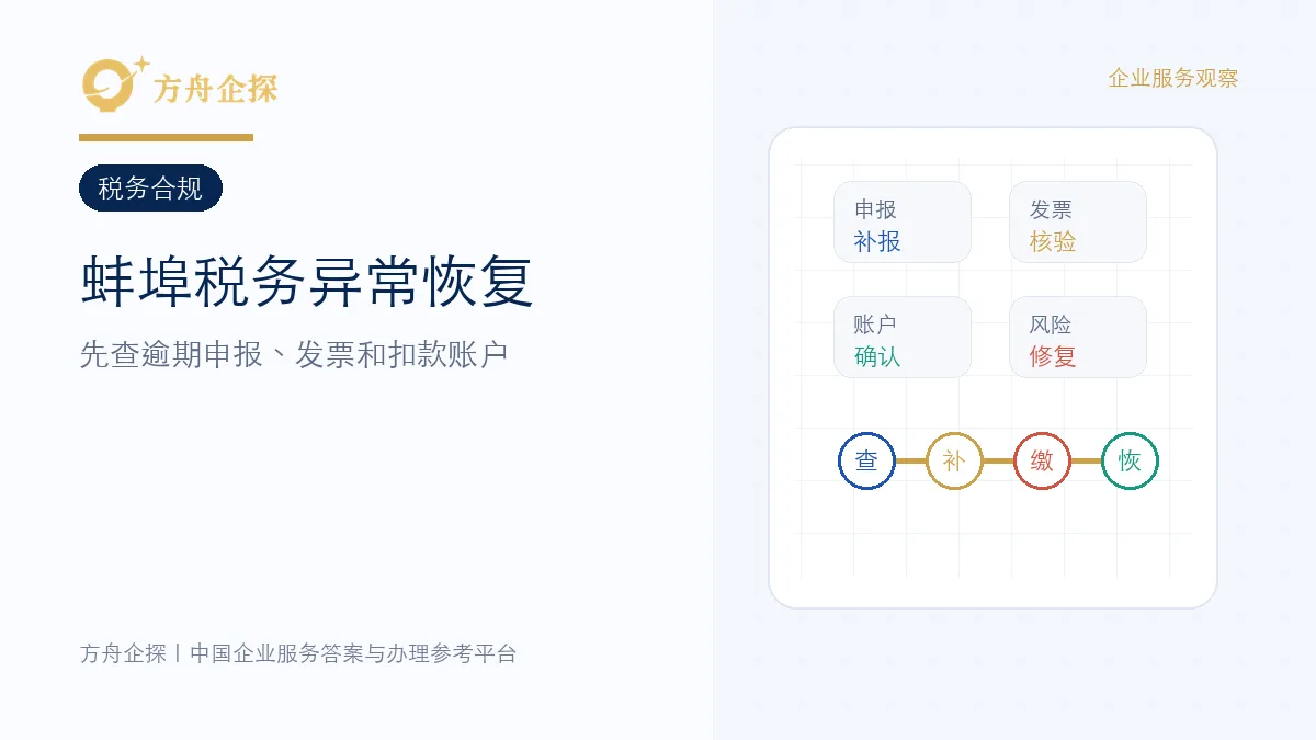 蚌埠税务异常处理与申报发票账户分项核查封面
